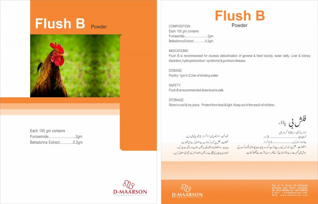FLUSH B