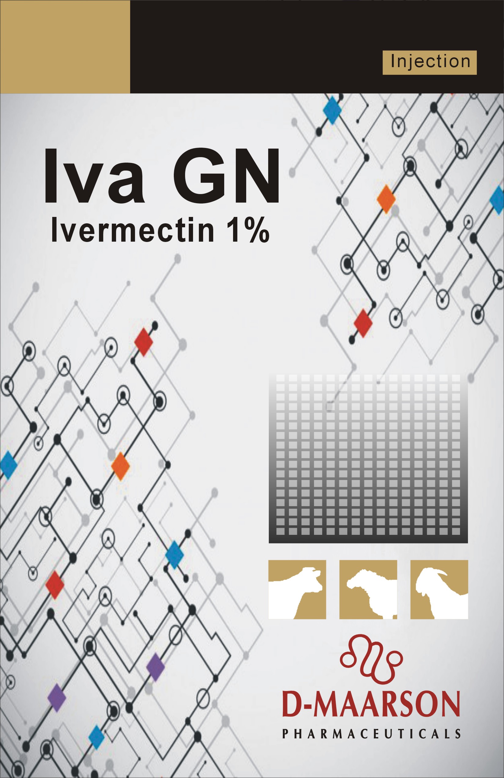Iva GN 1 Front